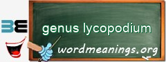WordMeaning blackboard for genus lycopodium